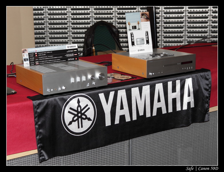 2009   11   Anniv. Elecson 09